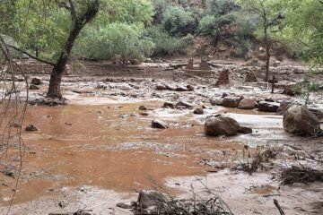 Al menos 15 desaparecidos tras una inundación en el Gran Cañón en Arizona