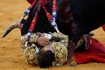 Morante vuelve a nacer entre la incomprensión; triunfan Roca Rey y Miranda en Málaga