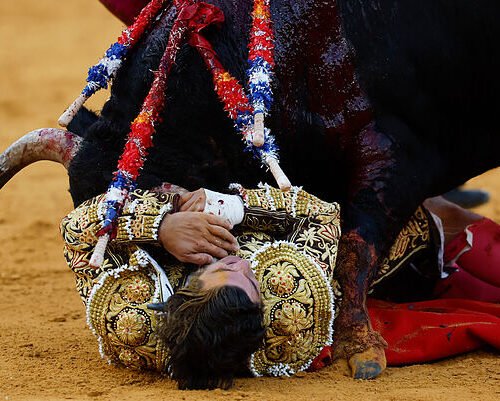 Morante vuelve a nacer entre la incomprensión; triunfan Roca Rey y Miranda en Málaga
