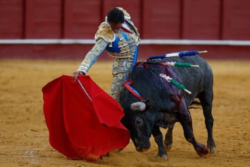Fortes gana por quinta vez el capote de paseo de Málaga a la mejor faena de la feria