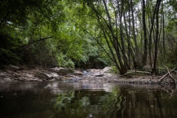 Viladrau, tres años después de la gran sequía: “Las hadas de las fuentes no han hecho las maletas, pero no podemos bajar la guardia”