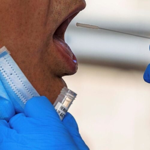 Una persona residente en Castilla y León, en cuarentena por ser contacto del positivo en hantavirus detectado en Francia