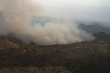 Prisión de casi dos años y 61.580 euros de multa por provocar un incendio forestal con una quema de pasto