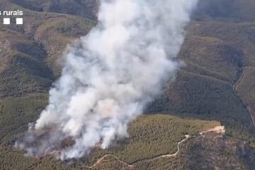 Detenido el presunto autor del incendio forestal de Castellví de la Marca (Barcelona)