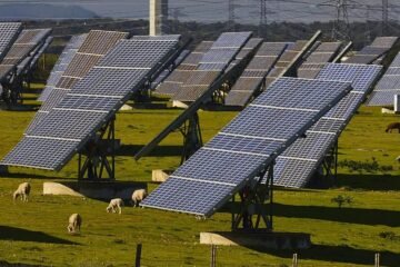 El campo carga contra el exceso de paneles solares mientras se tira energía renovable a la basura
