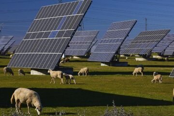 España batirá este verano el récord de energía renovable tirada a la basura