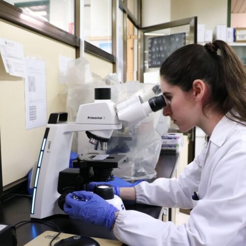 Castilla y León supera los 3.100 estudios genéticos para detectar la hipercolesterolemia familiar