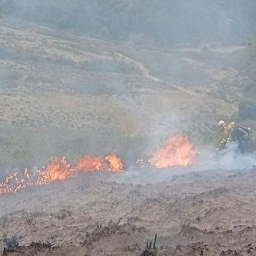 DIRECTO | El incendio de Pendilla de Arbas en nivel 1 llega a Asturias: el viento dificulta su extinción