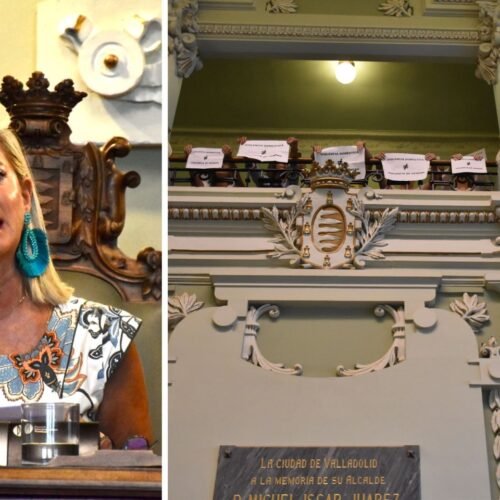 Activistas del Consejo de las Mujeres interrumpen el pleno con gritos de «fascista» y «tramposa» hacia Carvajal