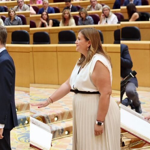 Javier Iglesias, Javier Maroto y Clara Martín ya son senadores por Castilla y León