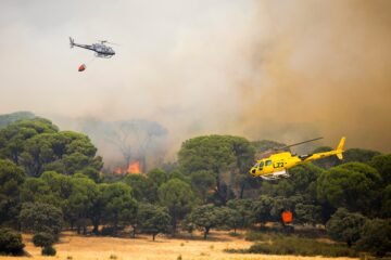 Más de la mitad de los ciudadanos confiesa que no sabría cómo reaccionar ante un incendio forestal, según el CIS