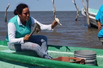 La incursión criminal de las mafias chinas en Chiapas devasta la fauna autóctona