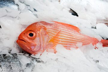 El error que arruina el pescado: «No lo cocines al sacarlo de la nevera, sino déjalo 15 minutos a temperatura ambiente»